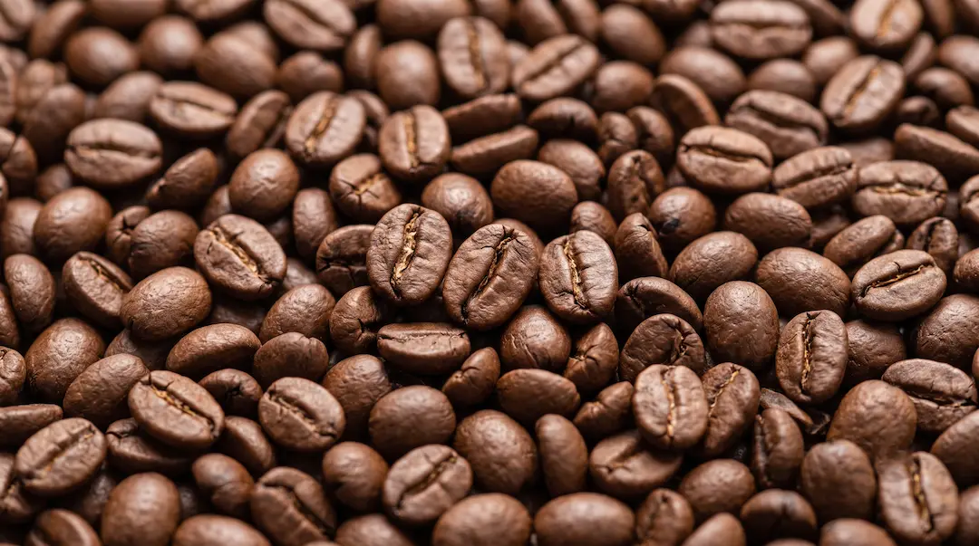 Grãos de café torrado, vistos de perto